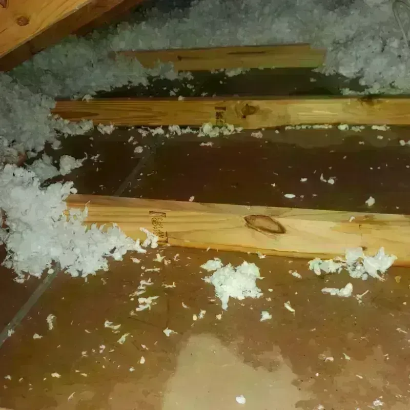 Attic Water Damage in Wellington, UT